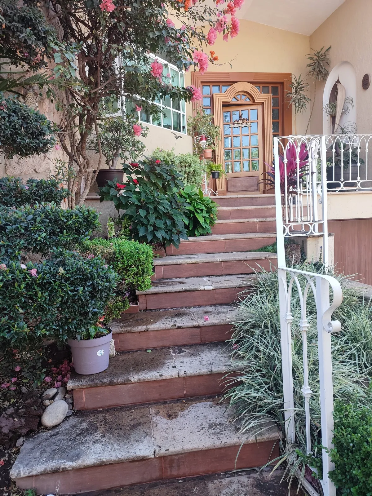 Casa en venta Bugambilias Guadalajara