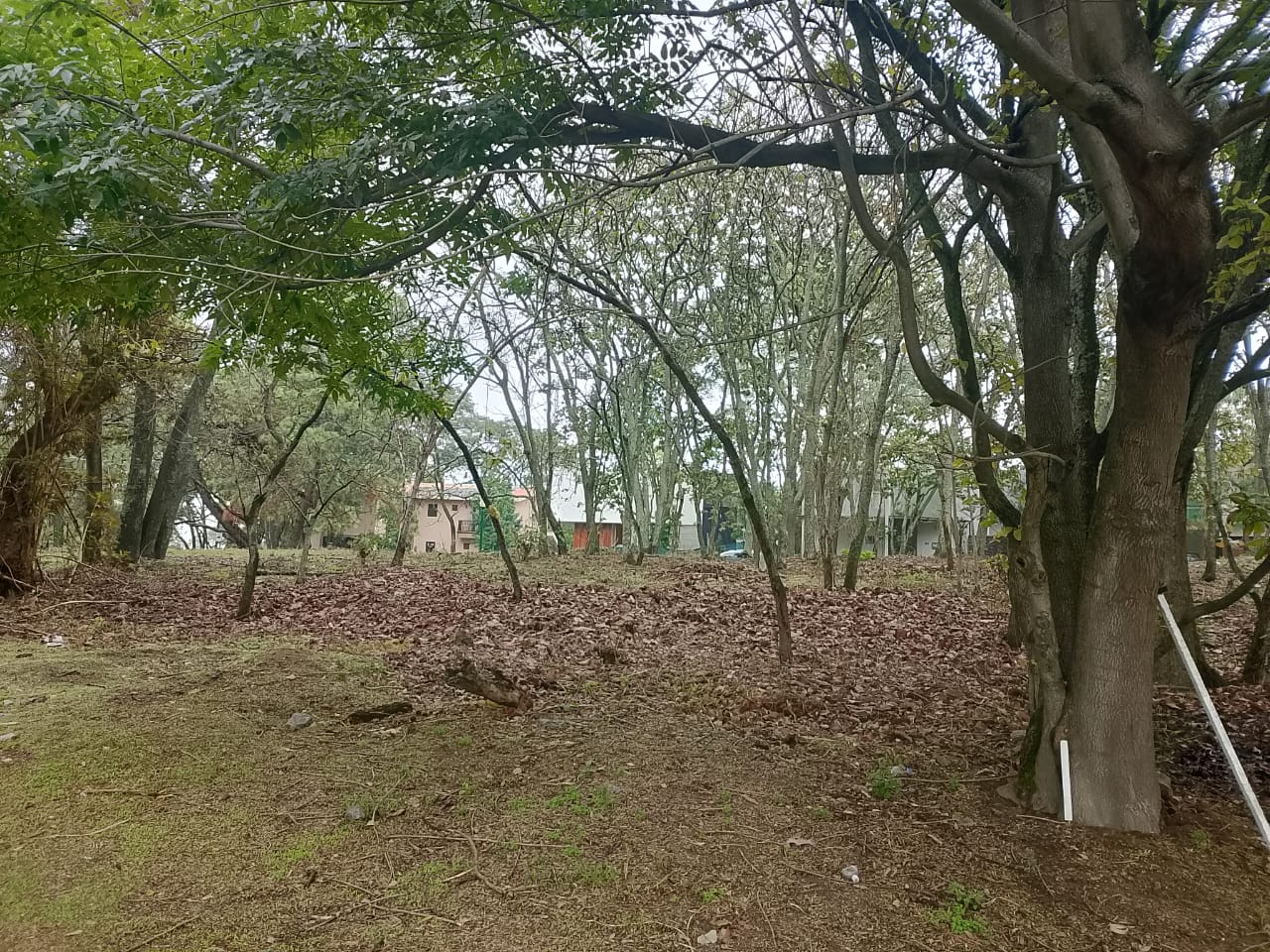 Terreno en venta El Cielo Country Club Guadalajara