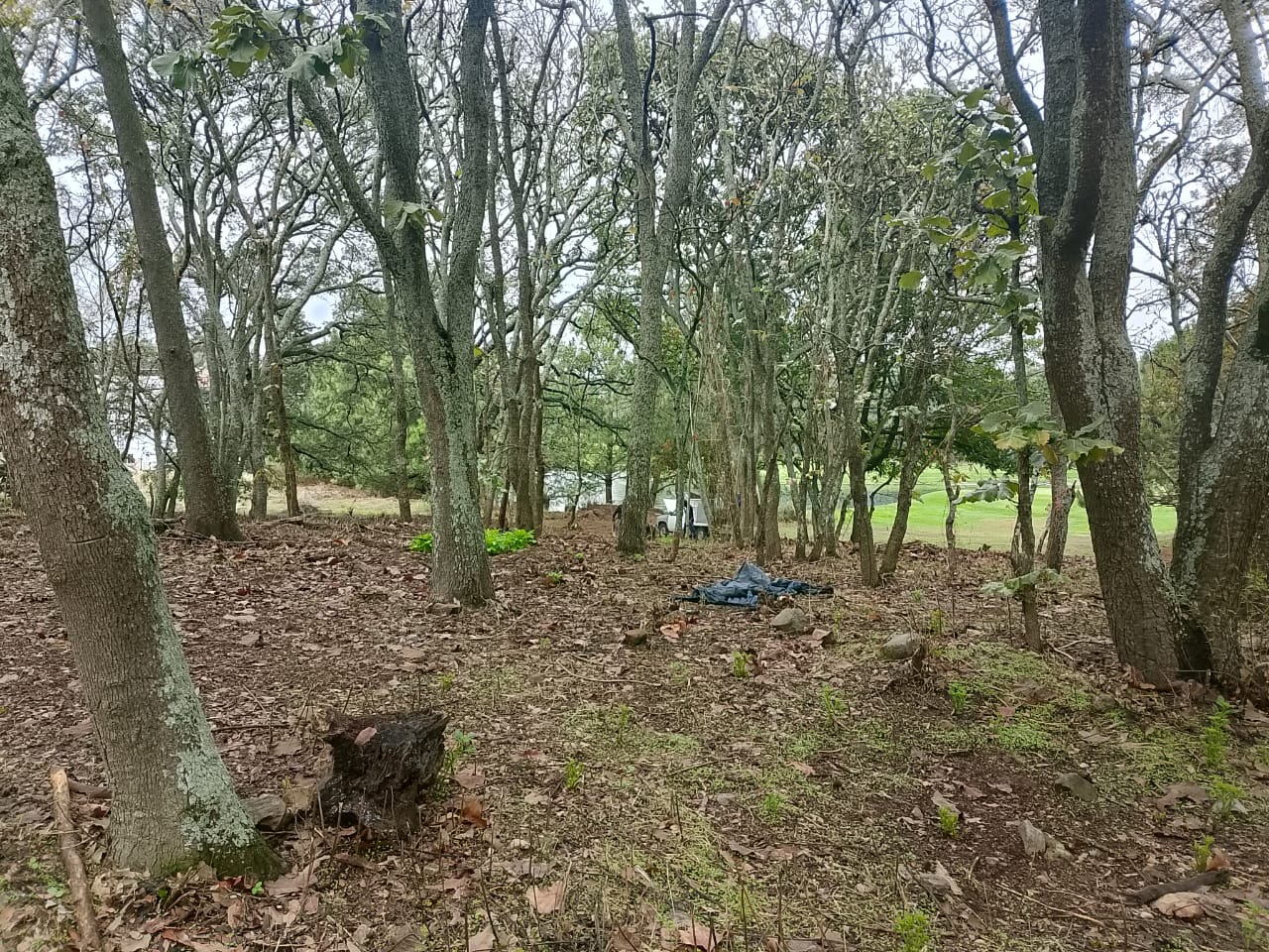Terreno en venta El Cielo Country Club Guadalajara