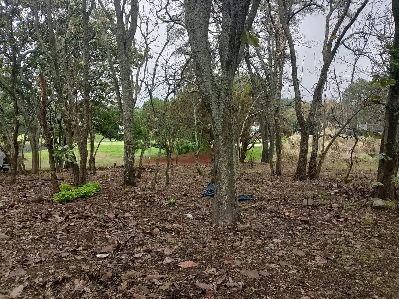 Terreno en venta El Cielo Country Club Guadalajara