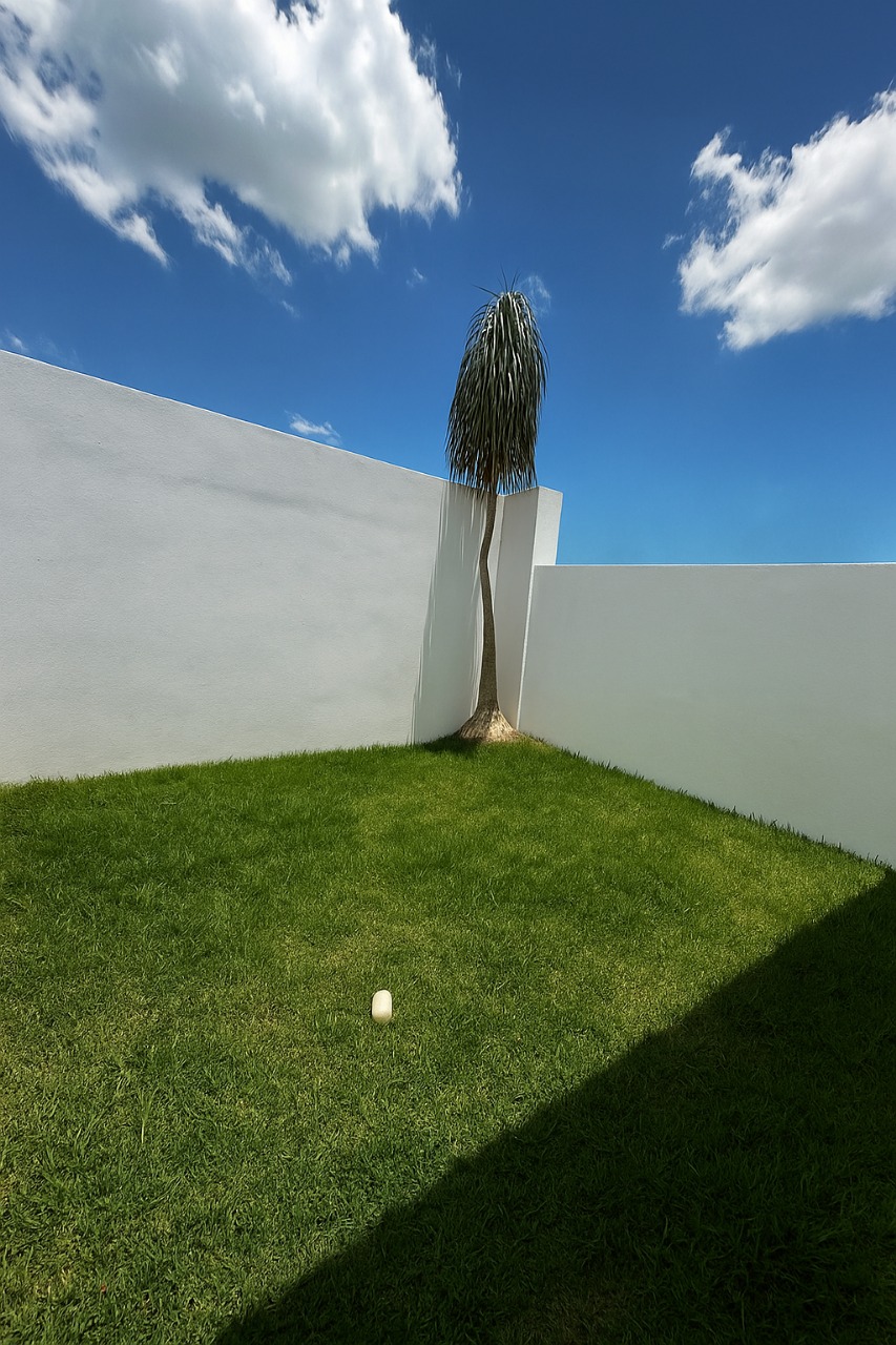 casa en renta Zapopan