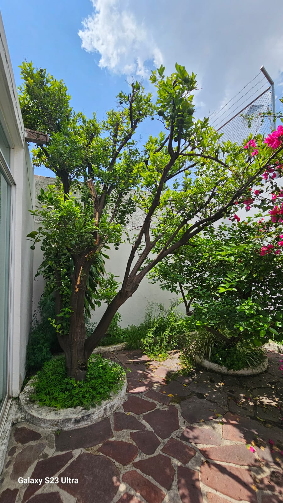casa en venta Jardines de los Arcos GDL