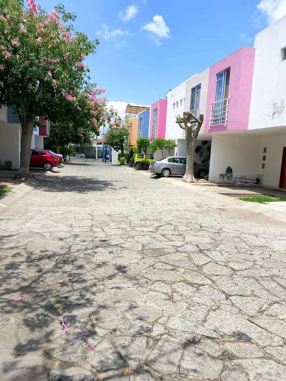 Casa en renta Zapopan el Vigia