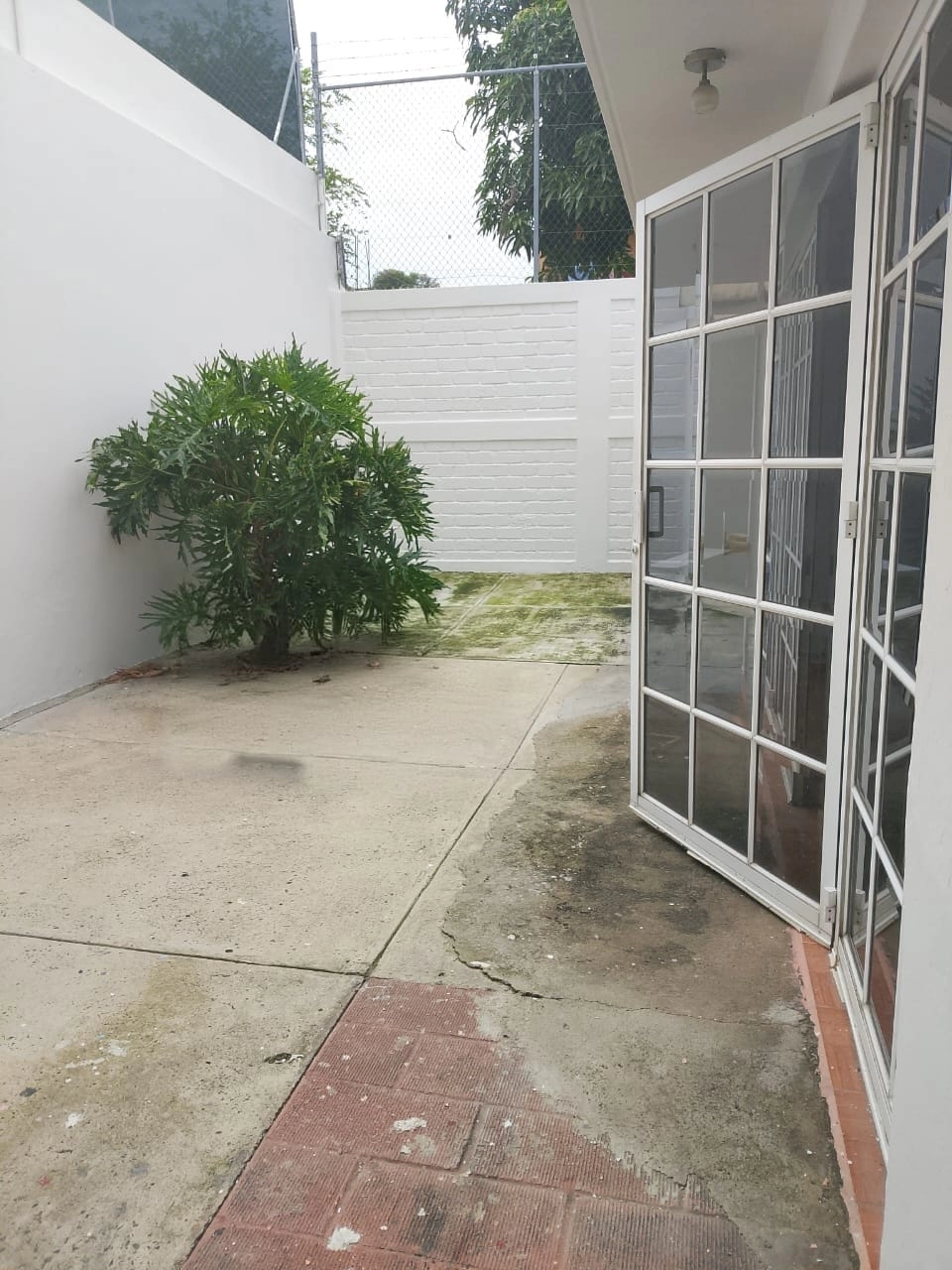 casa-en-renta-loma-bonita-ejidal-zapopan-patio-jardin-1 Patio amplio ideal para reuniones o área de juegos en casa en renta en Zapopan, Guadalajara