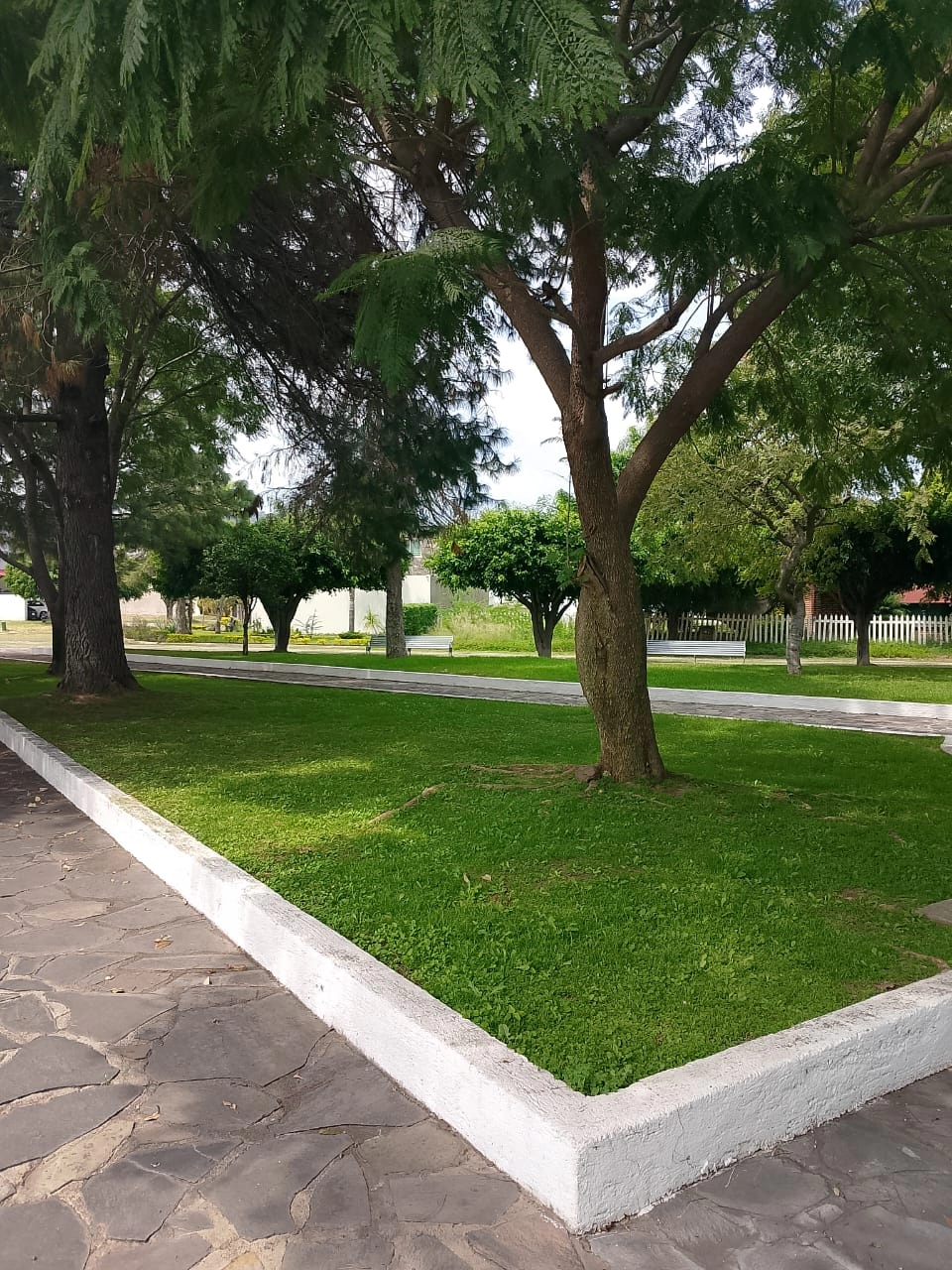 fraccionamiento-colinas-de-santa-anita-tlajomulco 2 Vista del fraccionamiento Colinas de Santa Anita en Tlajomulco de Zúñiga, zona residencial tranquila cerca de Guadalajara.